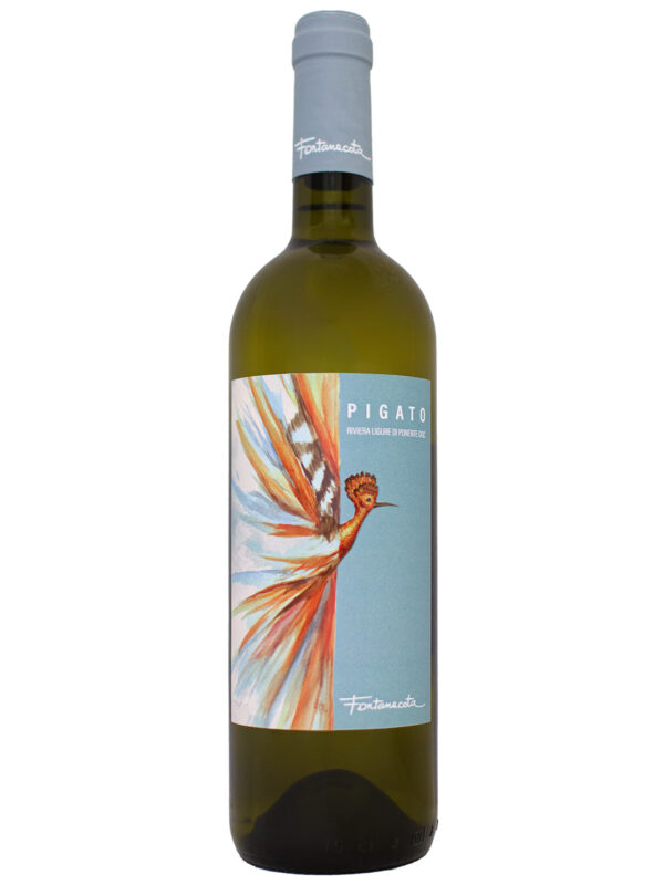 Pigato "Riviera Ligure di Ponente" DOC 2025